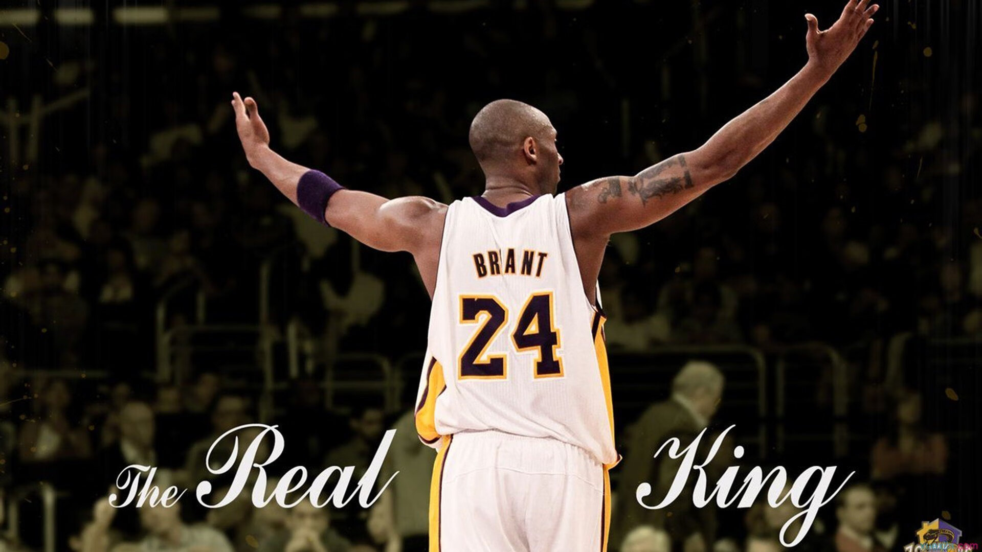 奥运周期关键战之夜，班凯罗比赛走势一手掌控